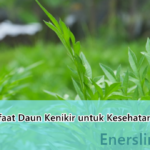 4 Manfaat Daun Kenikir untuk Kesehatan Tubuh, Tapi Jangan Salah Pilih