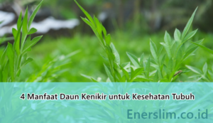 4 Manfaat Daun Kenikir untuk Kesehatan Tubuh, Tapi Jangan Salah Pilih