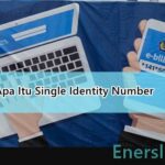 Apa Itu Single Identity Number (SIN) Pengertian, Fungsi, dan Contohnya