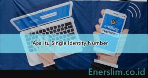 Apa Itu Single Identity Number (SIN) Pengertian, Fungsi, dan Contohnya
