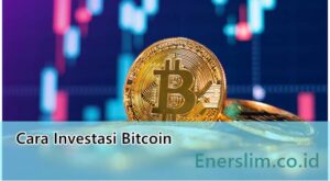 Cara Investasi Bitcoin untuk Pemula dari Nol sampai Paham